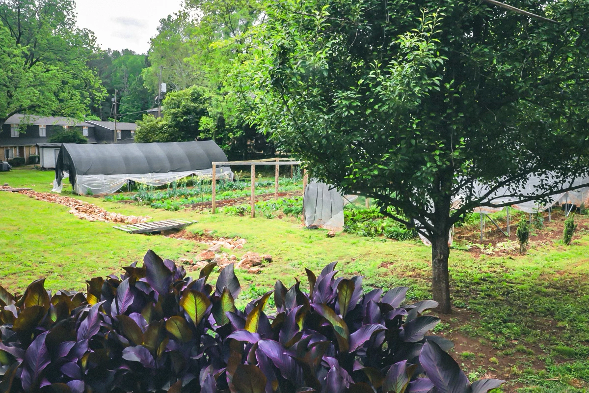 Oyun Botanical Gardens contains many features: fresh produce, classes, events, wellness products, services and a composting program.