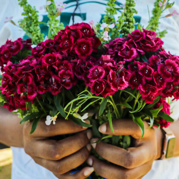 Flower Bouquet