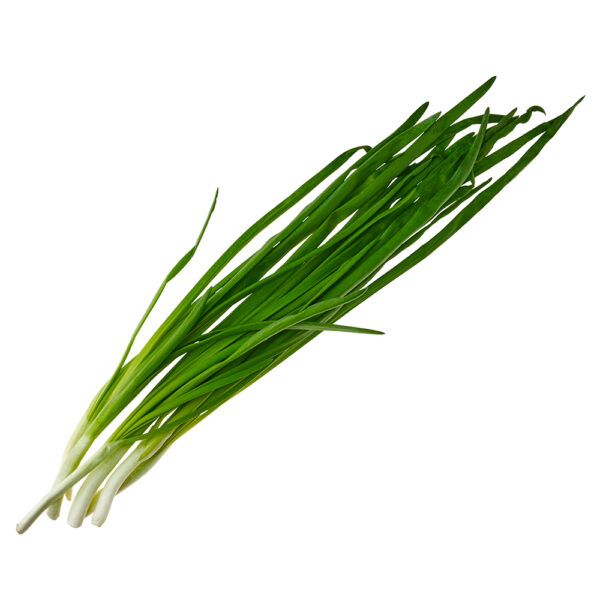 Green Onion Tops