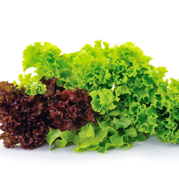 Mixed Lettuce