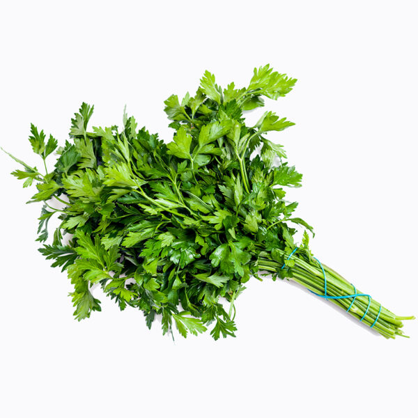 Flat Leaf Parsley