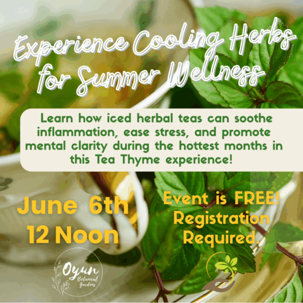 Tea Thyme: Herbs for Summer Wellness