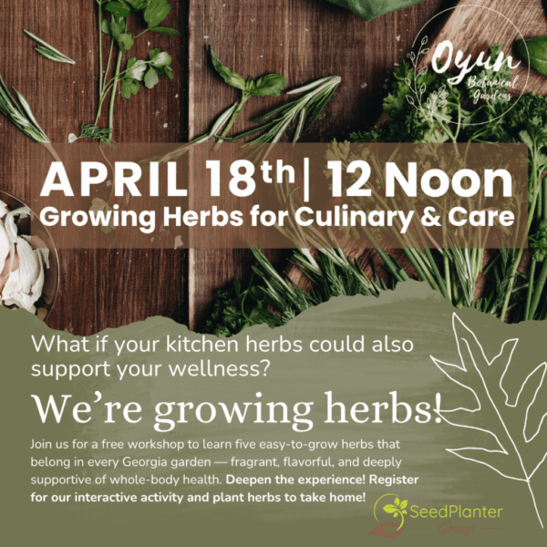 Growing Herbs for Culinary & Care