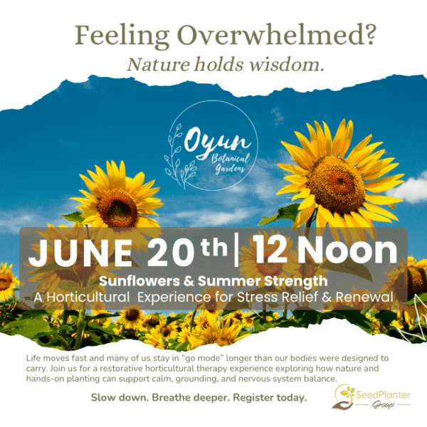 Sunflowers & Summer Strength | Horticulture Therapy Experience at Oyun