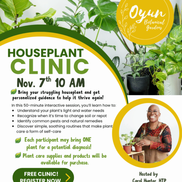FREE House Plant Clinic (Nov 7)