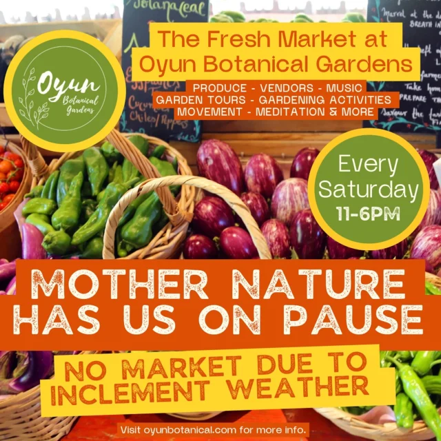 This weekend, we’re taking a little weather break — but we’ll be back soon with all the fresh produce, local goods, and good vibes you love! Thank you for rocking with us as we build something beautiful, rain or shine. We can’t wait to welcome you back to the garden soon — stay tuned for our next market day! In the meantime, tag your favorite vendor below and show them some love! #OyunBotanicalGardens #FreshMarketVibes #AtlantaMarkets #SupportLocal #CommunityRoots #FarmersMarketGA #EastPointGA