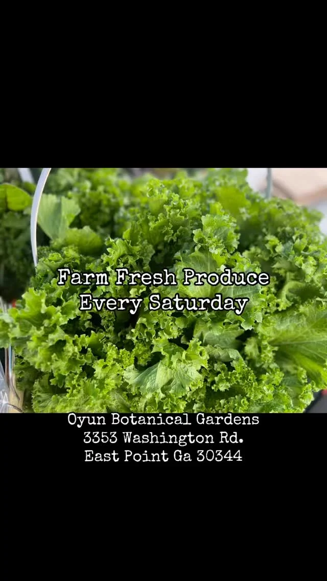 Farm-fresh produce, grown locally — just for YOU! Come shop this Saturday at The Fresh Market at Oyun Botanical Gardens Here’s why you don’t want to miss it: 🥬 Fresh-picked fruits & veggies from local farms 🛒 WIC & EBT accepted ⚡ Come early — produce sells out fast! When: Saturdays | 11AM–6PM Where: 3353 Washington Rd, East Point GA (Weather permitting) Support your health, your farmers, and your community — all in one trip! #FarmFreshATL #EastPointGA #AtlantaFarmersMarket #WICAccepted #EBTWelcome #HealthyFoodAccess #SupportLocalFarmers #UrbanFarmingATL #BlackFarmersMatter #EastPointEvents #ShopLocalATL #FoodJusticeATL #EatWellATL #CommunityMarket #MetroAtlantaEvents