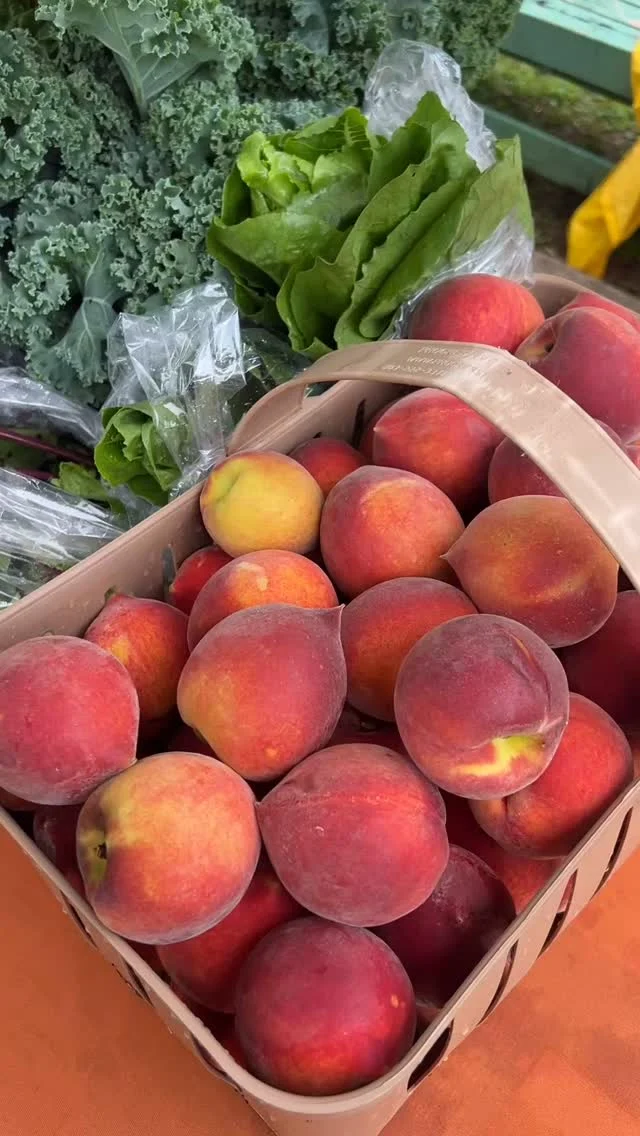 Join us at The Fresh Market at Oyun Botanical Gardens — every Saturday from 11AM to 6PM! 🌧️ or 🌞, the vibes are always fresh! Come shop fresh produce, handmade goods, wellness essentials, and creative treasures from local farmers, artisans, and small businesses. Your support helps nourish real families, sustain small farms, and circulate abundance right here in our community. When you shop local, you’re not just buying a product — you’re investing in your neighbors, your city, and a more vibrant future. LOCATION: 3353 Washington Rd, East Point. #ShopLocalATL #SupportLocalFarmers #FarmersMarketATL #EastPointGA #CommunityWellness #OyunBotanicalGardens #FreshMarketVibes #SustainableLiving #ATLMarkets #LocalLove #FarmToTable
