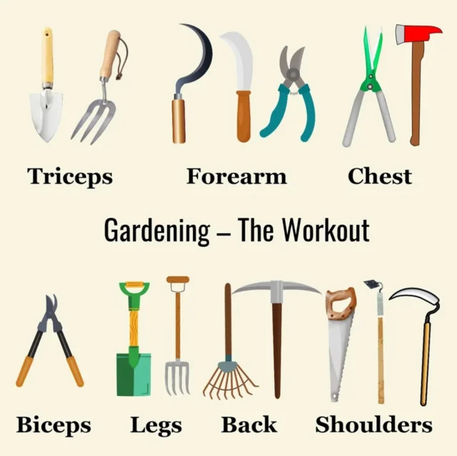 Did you know gardening is a full-body workout? 🏋️‍♀️ From squatting to plant, lifting to harvest, stretching to prune, and walking the land—every moment in the garden works your muscles, boosts your mood, and gets your heart pumping. It’s movement with purpose. Healing for the body. Peace for the mind. Nourishment for the soul. Come volunteer with @ondafarm at Oyun Botanical Gardens! Get your hands in the soil, connect with community, and enjoy a natural workout in the beauty of the land. It’s a win-win—wellness and service in one. Volunteer Hours: Wednesdays: 10AM–1PM Saturdays: 8AM–1PM Tap the link in bio to sign up! #GardenWorkout #VolunteerAtlanta #UrbanFarmLove #OyunBotanicalGardens #HolisticHealth #MoveWithPurpose #CommunityHealing #WellnessInNature Let’s grow together! See you in the garden! 🌱🤲☀️❤️